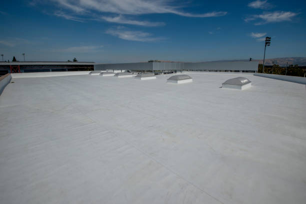 Best Metal Roofing Installation  in Pahrump, NV
