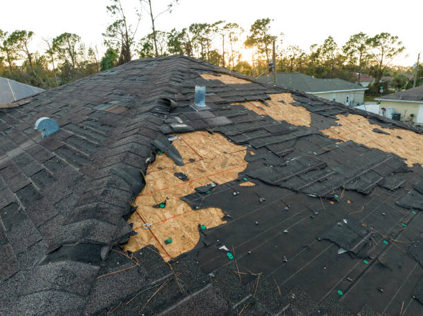 Best Chimney Flashing Repair  in Pahrump, NV