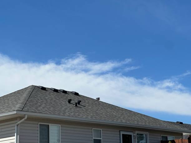 Best Wood Shake Roofing  in Pahrump, NV